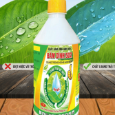 CHẤT LOANG TRẢI