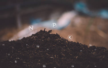 Giải Mã NPK – Hiểu Đúng Để Bón Phân Hiệu Quả Cho Cây Trồng