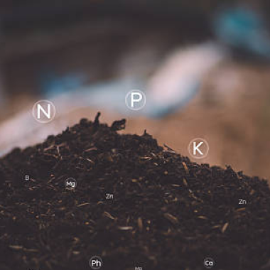 Giải Mã NPK – Hiểu Đúng Để Bón Phân Hiệu Quả Cho Cây Trồng