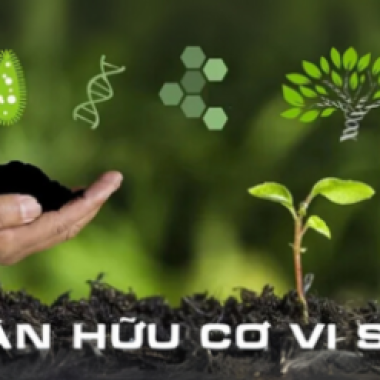 Phân vi sinh chất lượng cao