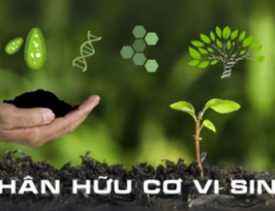 Phân vi sinh chất lượng cao