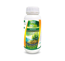 Phân bón hữu cơ VKC PROFESSOR 250 RG 